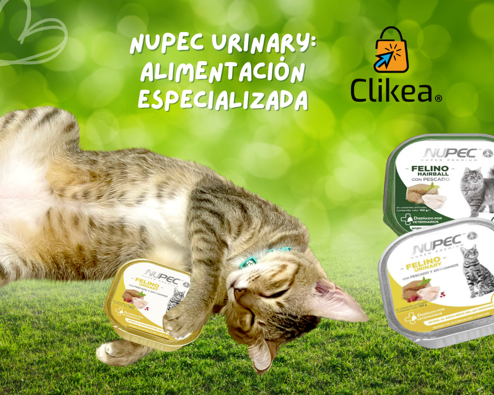 Problemas Urinarios en Gatos: Nupec Lata Urinary