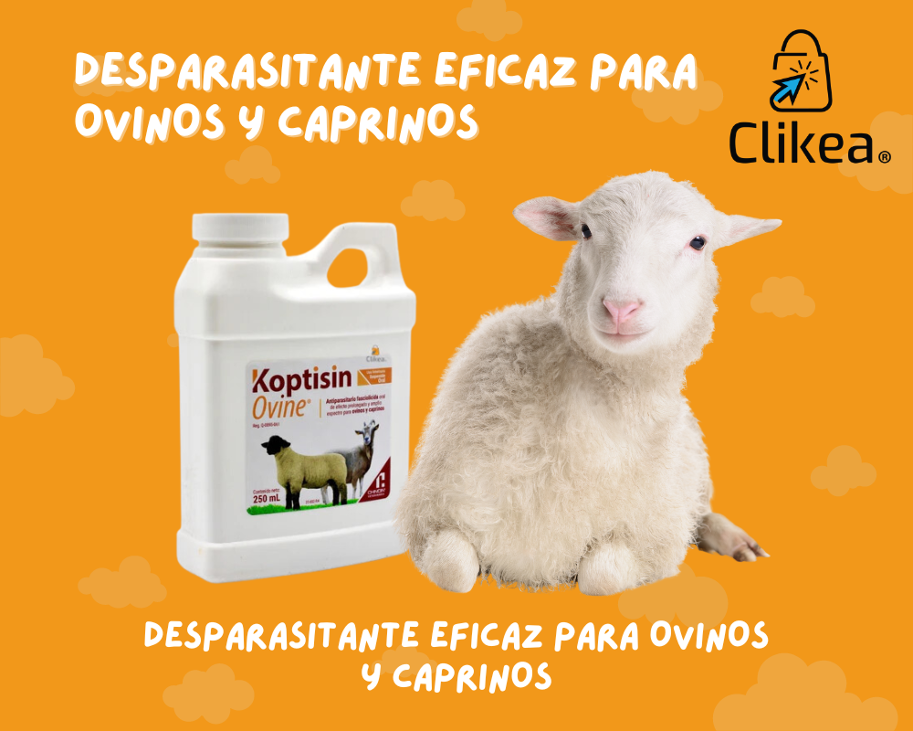 Koptisin: Desparasitante Eficaz para Ovinos y Caprinos