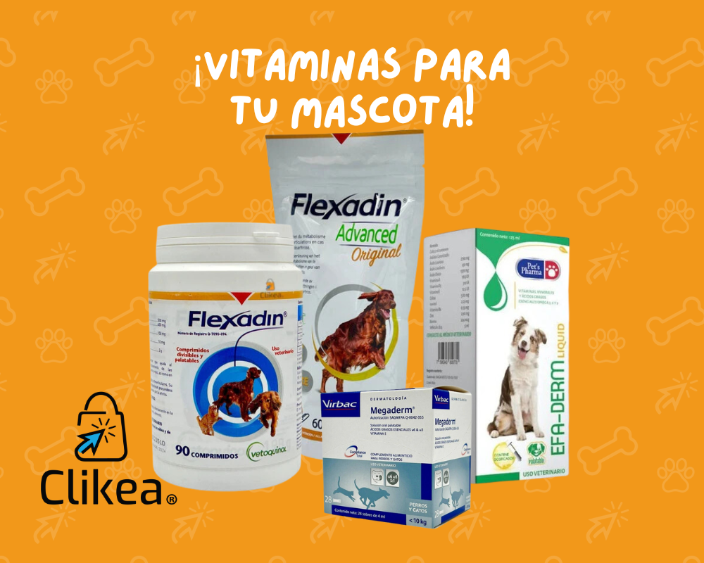 La Importancia de Darle a tus Mascotas Vitaminas y Minerales