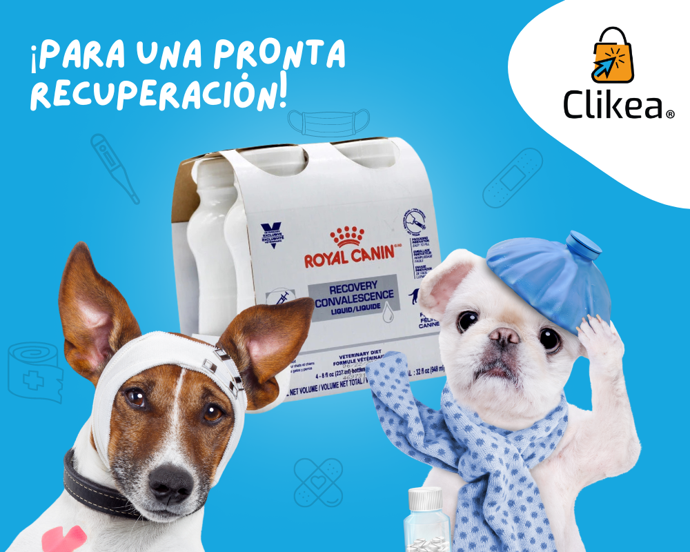 Recuperación Rápida y Efectiva con Recovery Convalesce de Royal Canin