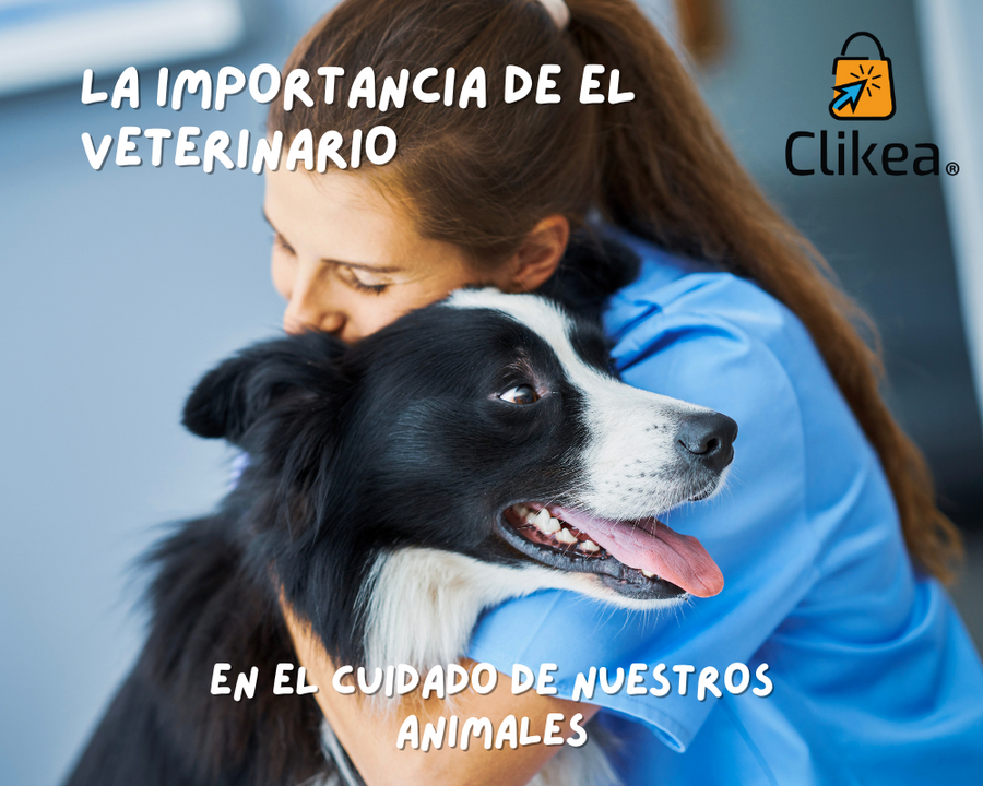 La Importancia del Médico Veterinario