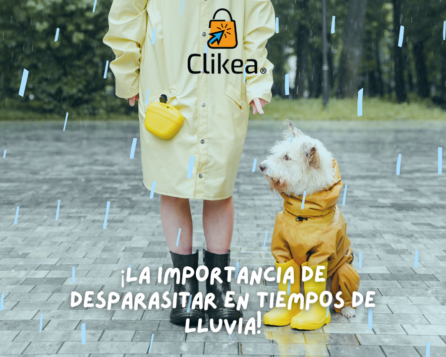 La Importancia de Desparasitar a tus Mascotas en Tiempos de Lluvias