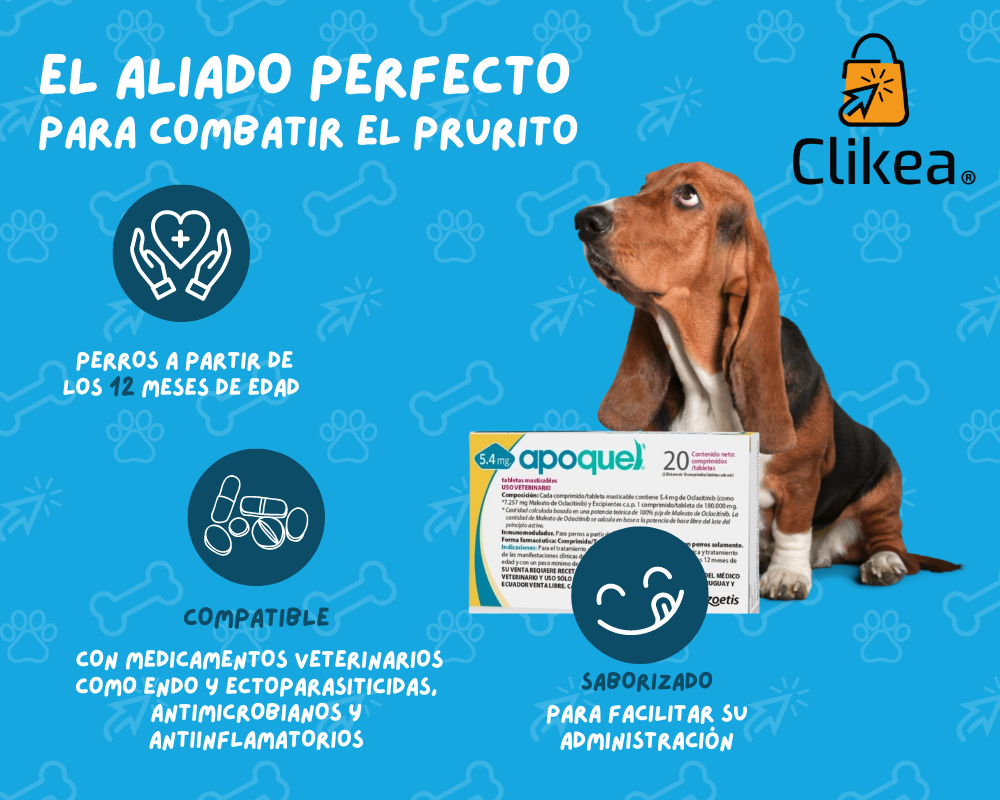 Apoquel: El Aliado Perfecto para el Prurito