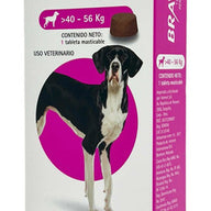 Bravecto Para Perros 40-56kg - CLIKEA