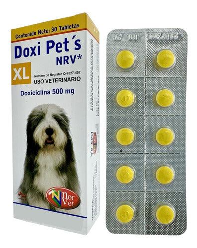 Doxi Pets Xl Nrv Doxiciclina 500 Mg Perros Y Gatos 30 Tabs