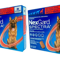 Nexgard 6 Pastillas Antipulgas Para Perros De 30 A 60 Kg Gde - CLIKEA