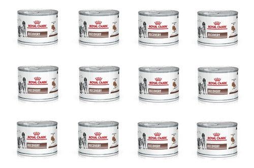 Royal canin hot sale recovery rs