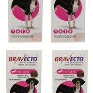 Paquete De 4 Bravecto Para Perros 40-56kg - CLIKEA